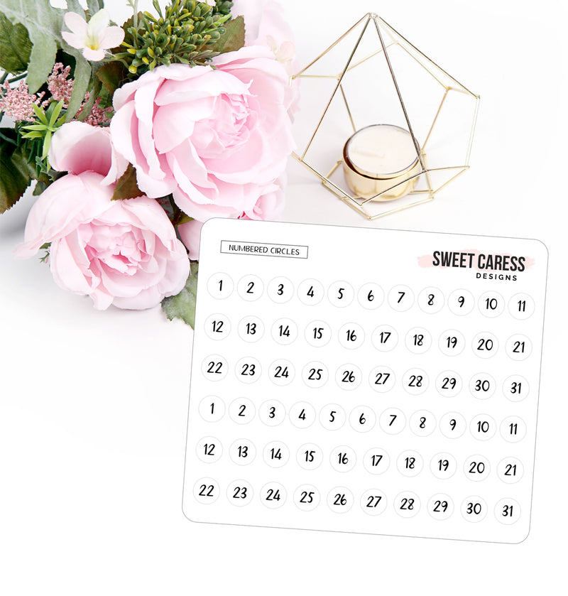 Transparent Month & Days of the Week Stickers – Sweet Caress Designs